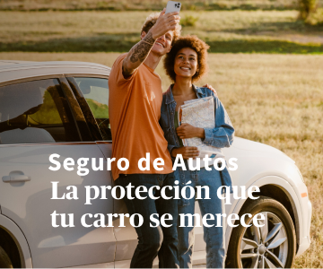 Seguro para carro